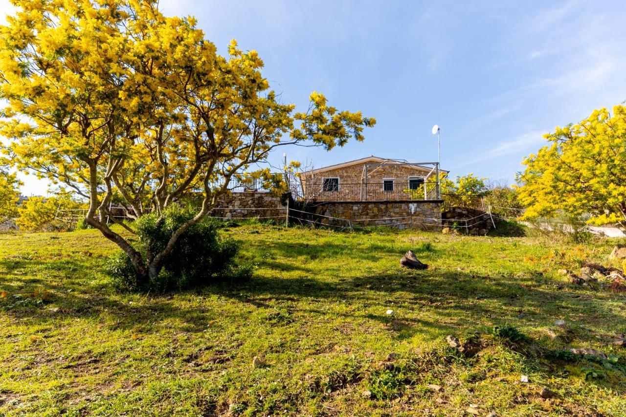 Agriturismo Le Mimose Imperia Exterior photo